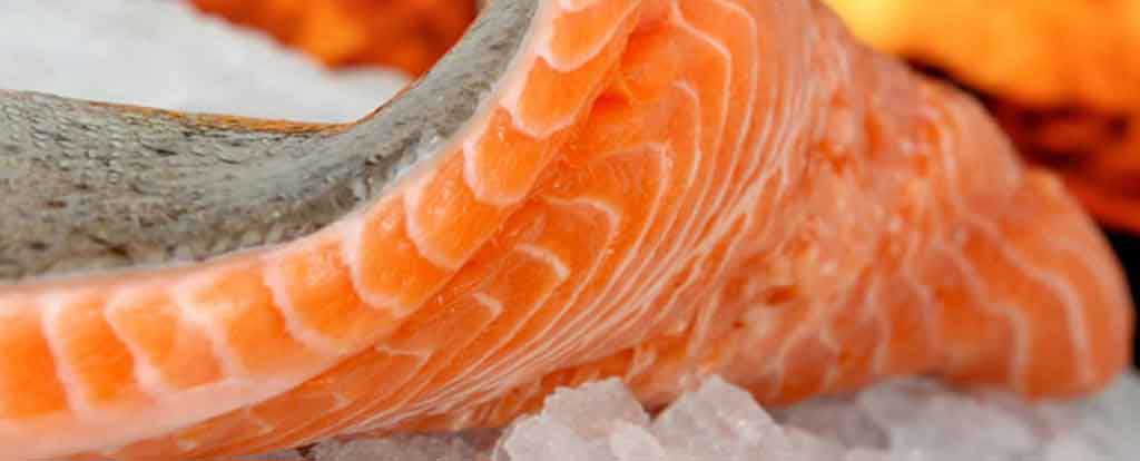 Sea food Sea food