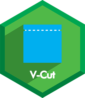 V cut pouch
