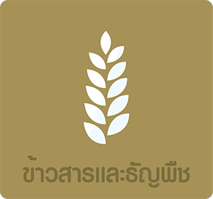 ซองบรรจุภัณฑ์พลาสติกที่เหมาะสมสำหรับข้าวสารและธัญพืชอบแห้ง ซองบรรจุภัณฑ์พลาสติกที่เหมาะสมสำหรับข้าวสารและธัญพืชอบแห้ง